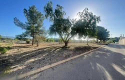 Pinoso, Alicante 03650