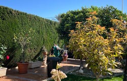 Torrevieja, Valencia 03183