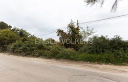 Jávea / Xàbia, Valencian Community 03739