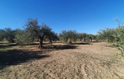 Alhaurin El Grande, Malaga 29120