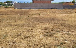 Roquetes, Catalonia 43520