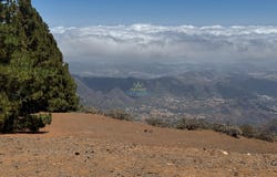 Valsequillo de Gran Canaria, Canary Islands 35216