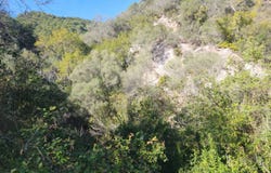 Gaucín, Andalusia 29480