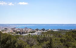 Palma de Mallorca, Balearic Islands 07001