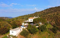 Pizarra, Andalusia 29569