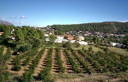 Orba, Valencia 03790
