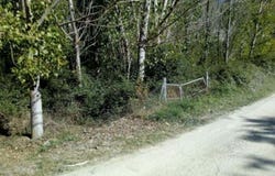 Penàguila, Valencian Community