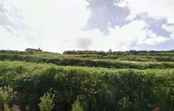 Tacoronte, Canary Islands