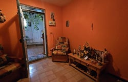Tunte, Canary Islands 35349
