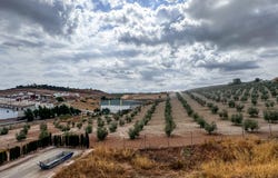 Alameda, Andalusia 29530