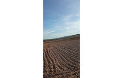 Salinas, Valencia 03130