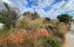 Betxi, Valencian Community 12549