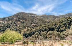 Tordera, Catalonia 08490