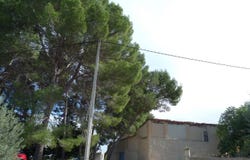 Albaida, Valencian Community 46860