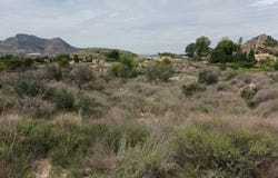 Agost, Valencian Community