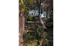 Cervelló, Catalonia 08758