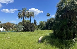 Sotogrande, Andalusia 11310