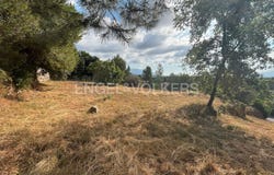 Cànoves I Samalús, Catalonia 08445