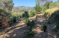 Torrelles de Llobregat, Catalonia 08629