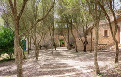 Manacor, Balearic Islands 07500