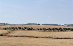 Valdemoro, Community of Madrid