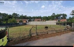 Caniza (a), Pontevedra 36739