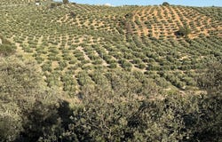 Illora, Andalusia