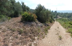 Benigánim, Valencian Community