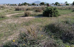 Sant Joan d'Alacant, Valencian Community