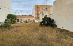 Elche/Elx, Valencian Community