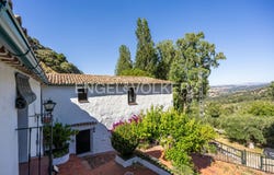 Grazalema, Andalusia 11610