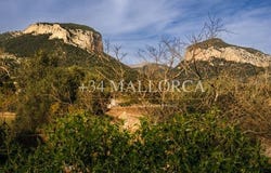 Alaró, Mallorca 07340