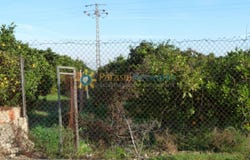 Oliva, Valencian Community 46780