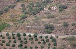 Sayalonga, Málaga