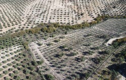 Osuna, Andalusia