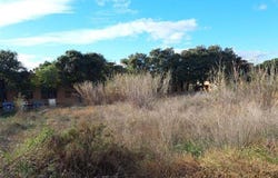 Murcia, Region of Murcia