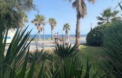 Torrevieia, Costa Blanca (alicante)