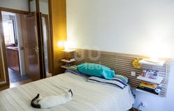 Zaragoza, Aragon 50007