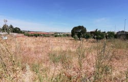 Portimão, Castile-La Mancha 45660