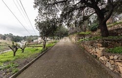 Alzira, Valencian Community 46600