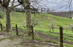 Villaescusa (Cantabria), Cantabria 39690