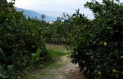 Murcia, Region of Murcia