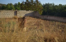 Pinos Puente, Andalusia