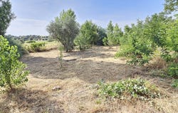 Hormigos, Castile-La Mancha 45919