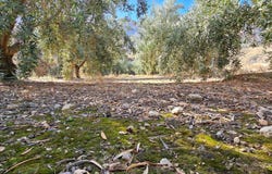 CARRETERA A-348, Illar, Andalusia 04431