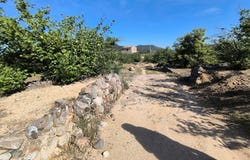 Tarragona, Catalonia 43365
