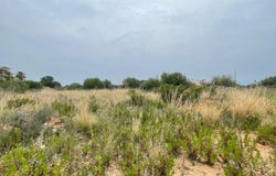 Peñiscola, Valencian Community 12598