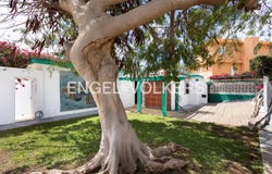 Santa Cruz de Tenerife, The Canary Islands 38009