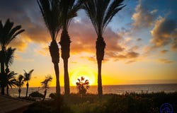 Arona, Canary Islands 38632