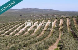 Campo De Criptana, Castile-La Mancha 13610